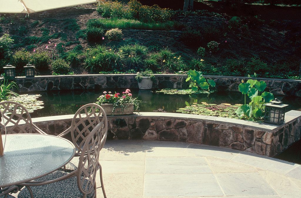 10 Landscape Design Tips from Frederick Law Olmsted