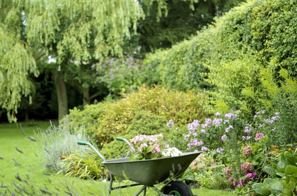 Naturalistic Garden: Inviting Nature into Your Garden